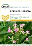 Common Tobacco Seeds